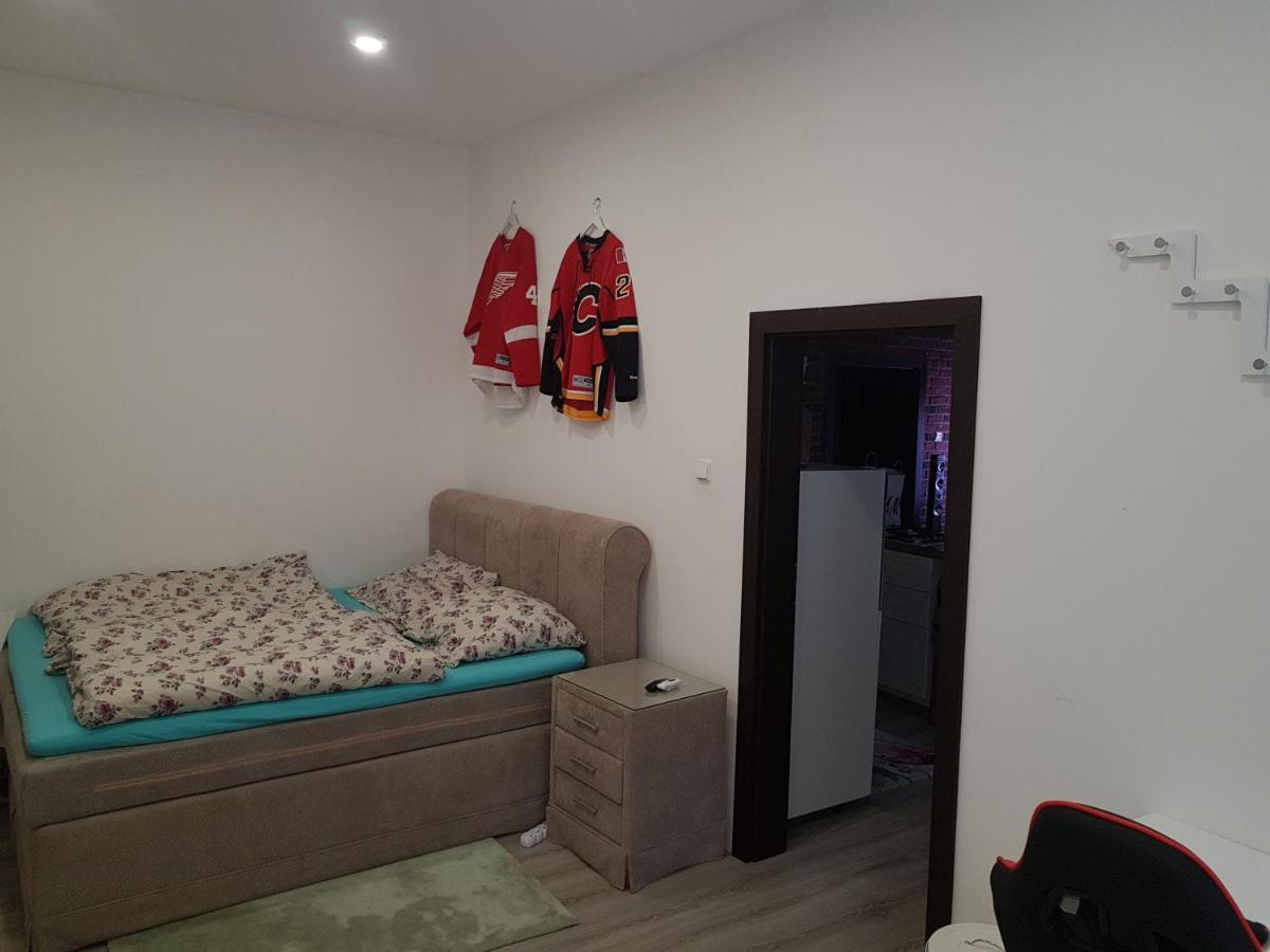 شقة Apartman كارلوفي فاري المظهر الخارجي الصورة